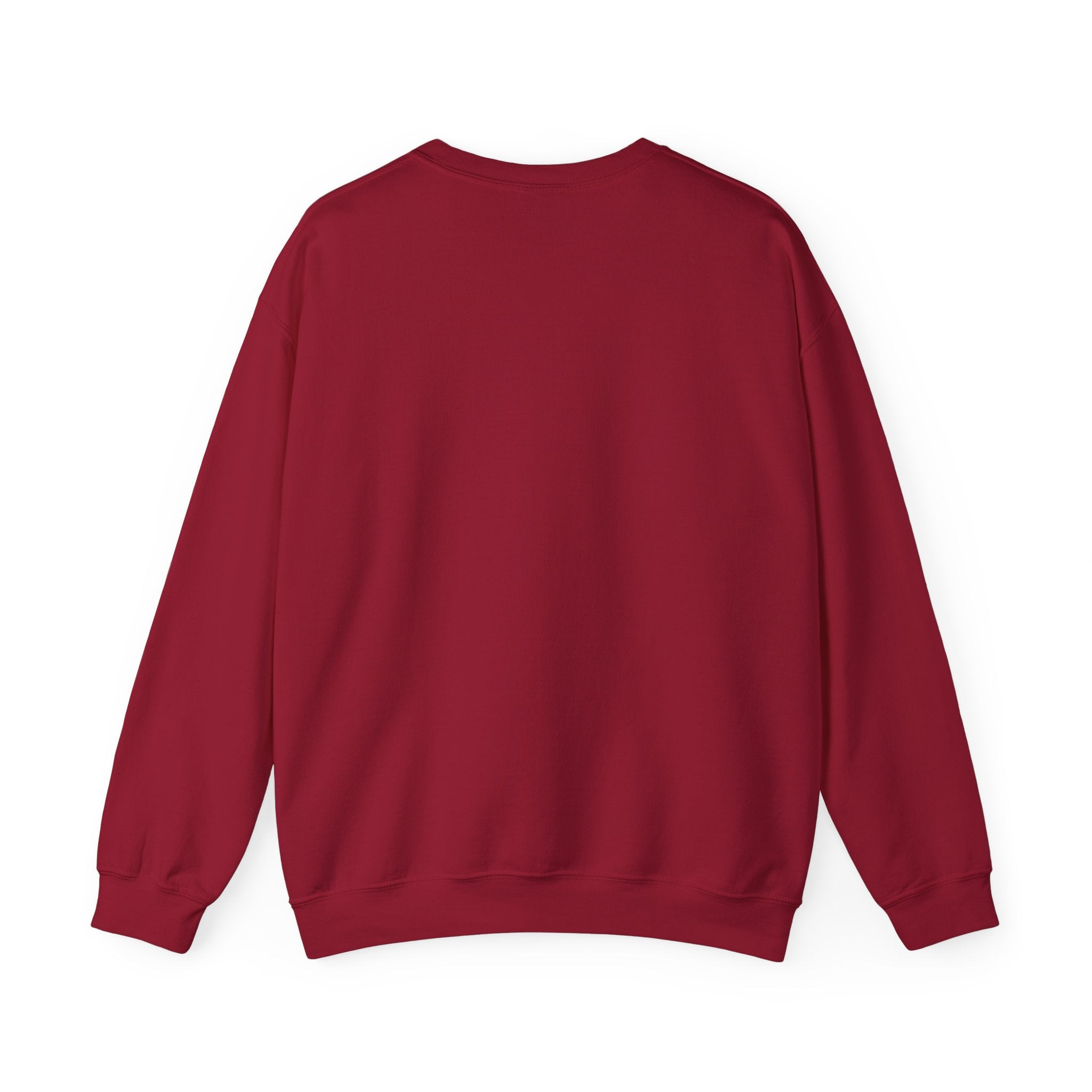 Sudadera de cuello redondo con definición de Wey Guey | Divertida sudadera de cuello redondo con forro polar latino | 3 colores disponibles