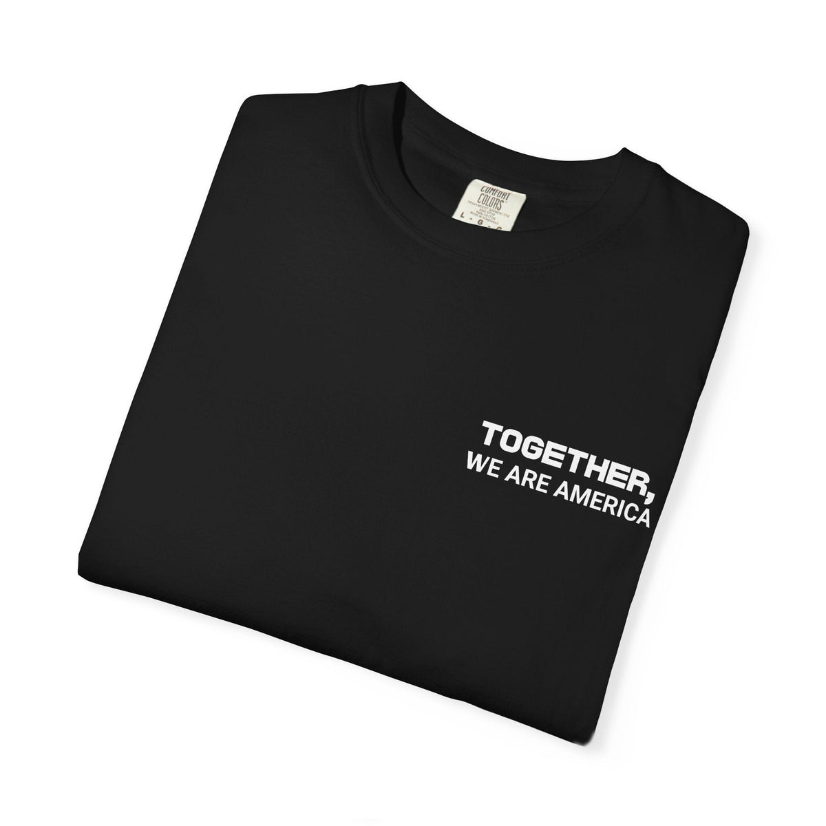 Together, We Are America T-shirt | All North, Central, & South American Flags | Unity Justice | Latino Pride Viral Tees