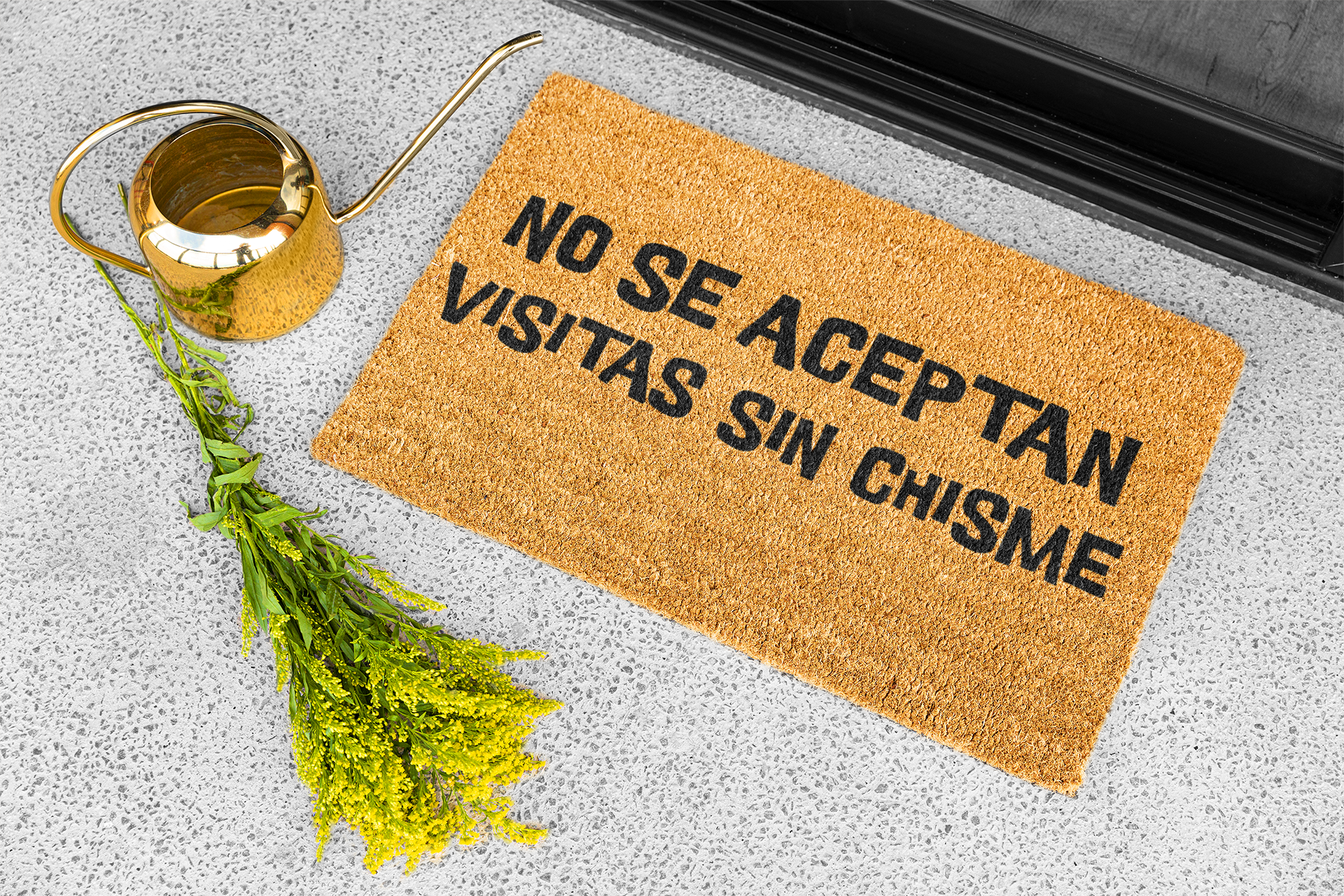 Felpudo divertido antideslizante "No Se Aceptan Visitas Sin Chisme" | Decoración del hogar para latinos | 18" x 30"