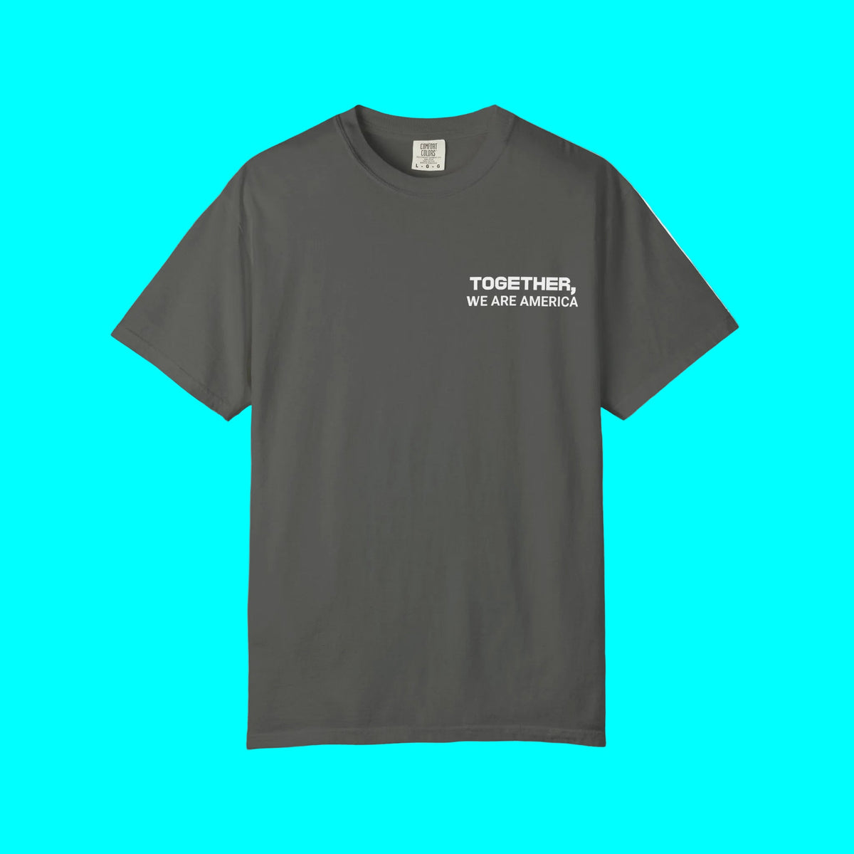 Together, We Are America T-shirt | All North, Central, & South American Flags | Unity Justice | Latino Pride Viral Tees