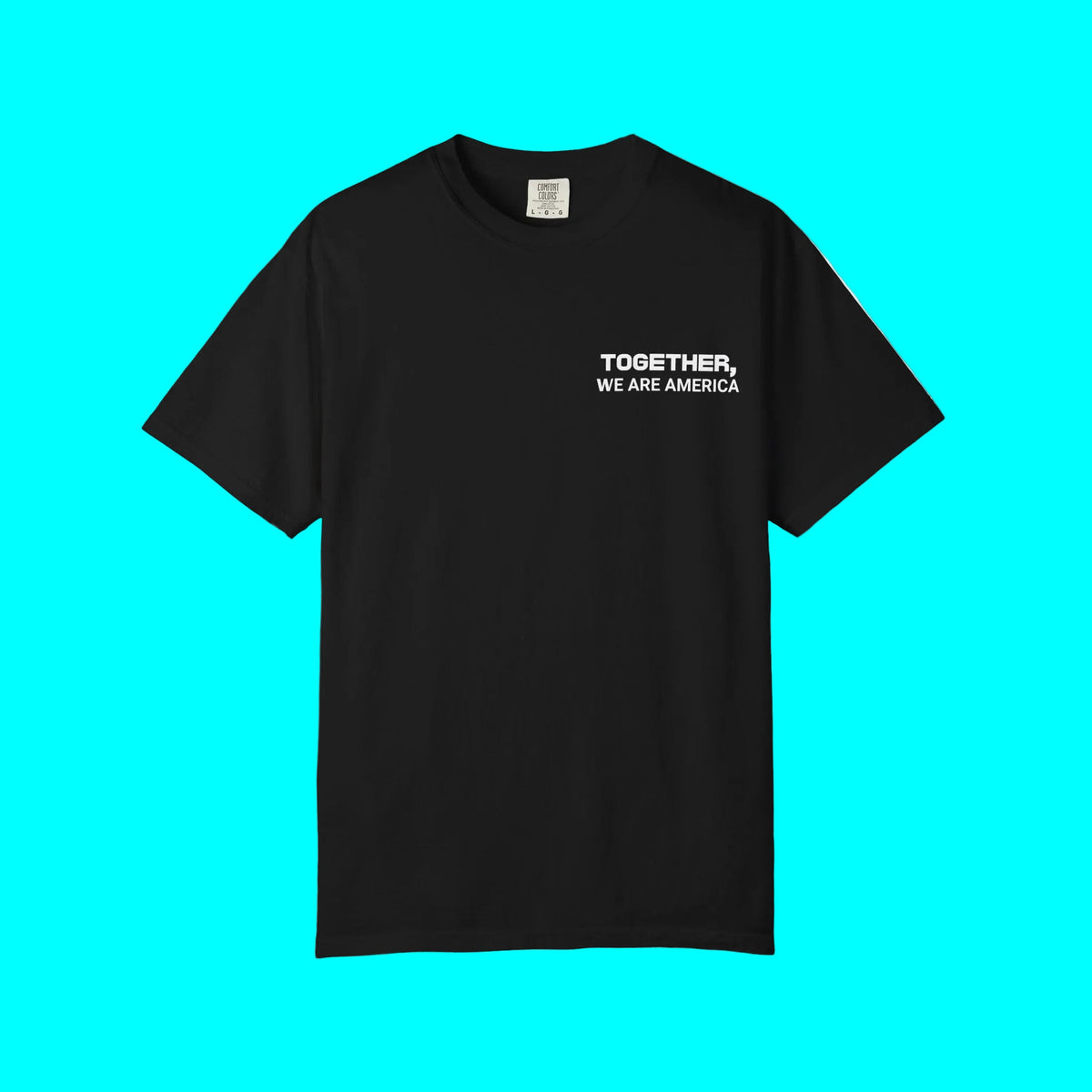 Together, We Are America T-shirt | All North, Central, & South American Flags | Unity Justice | Latino Pride Viral Tees