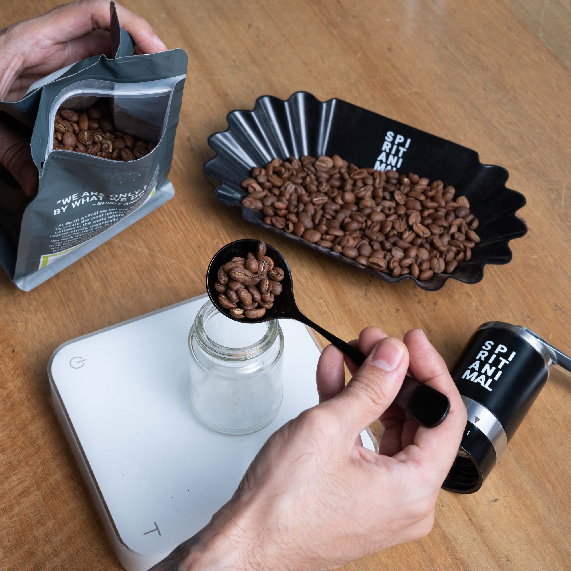 Manual Burr Coffee Grinder