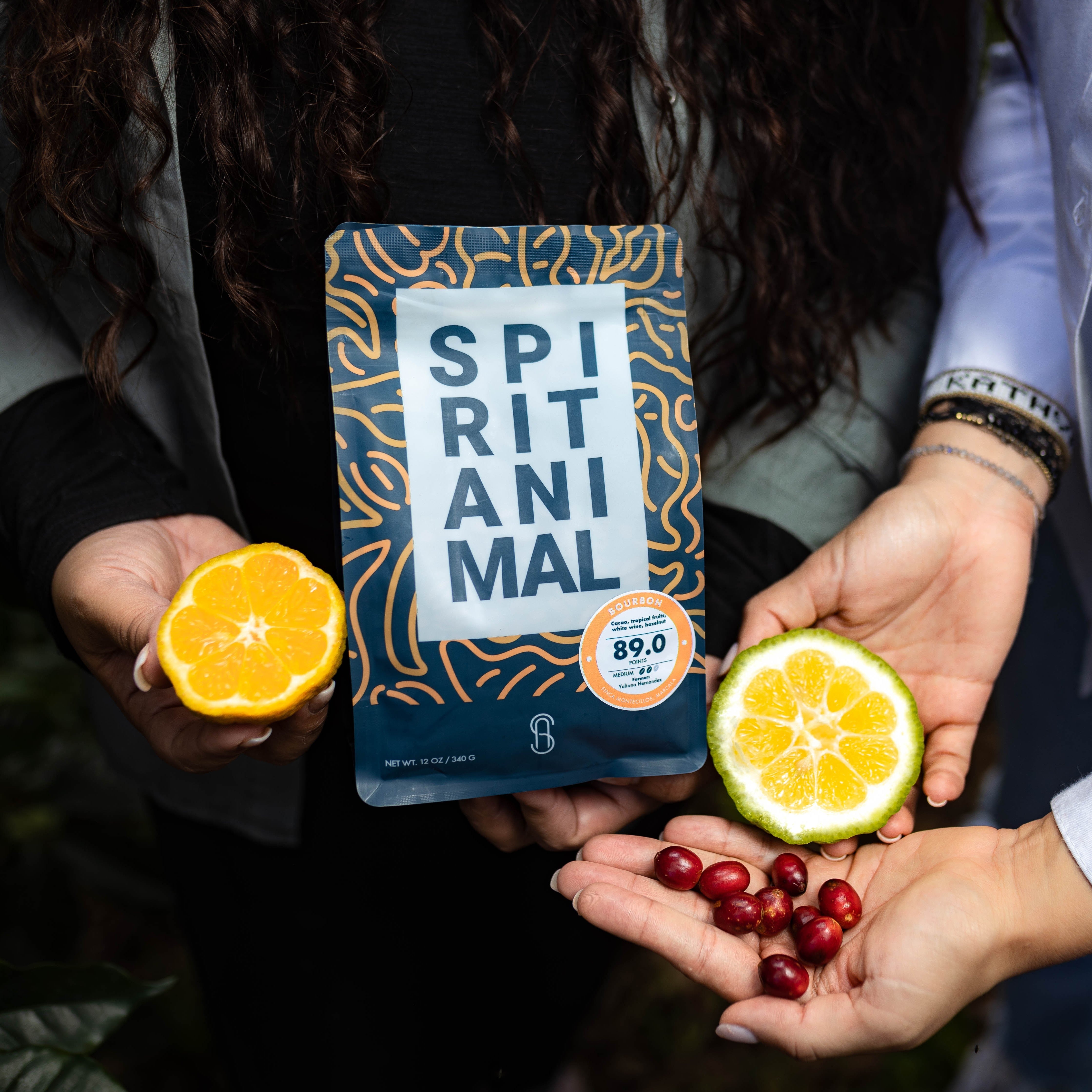 Honduran Bourbon Coffee - 6-Pack - 4.5lb