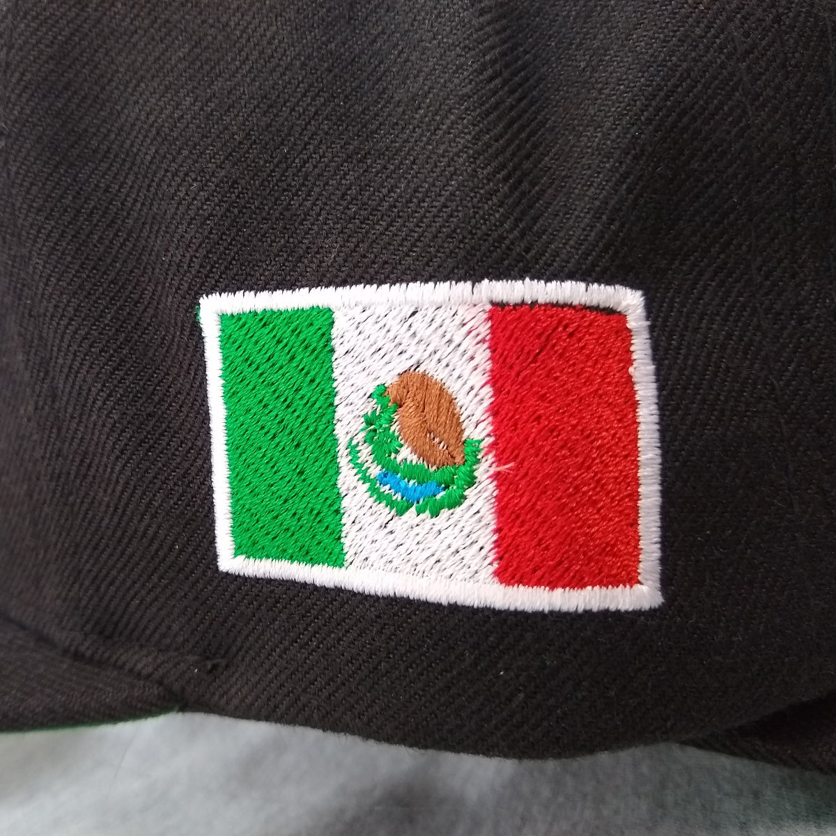 Gorra SnapBack México LOGO DELGADO Bandera y Águila Bordadas