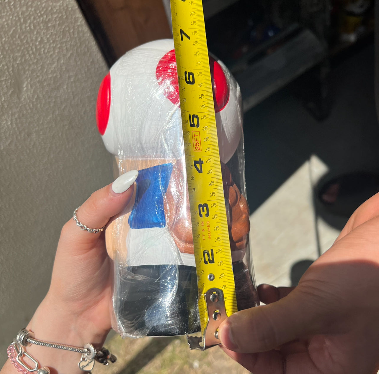 Hucha de Seta Sapo