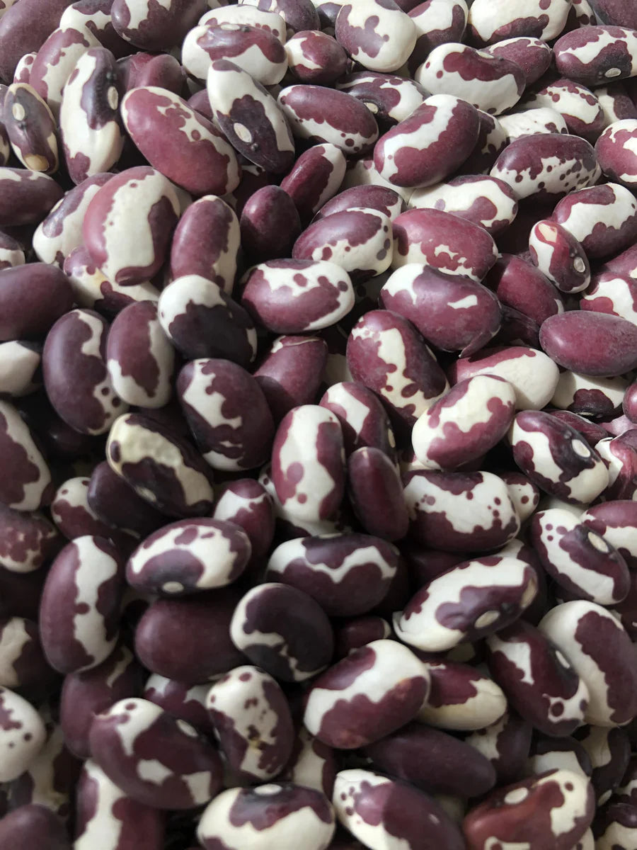 Adobe Milling Company ANASAZI beans 2 lbs.