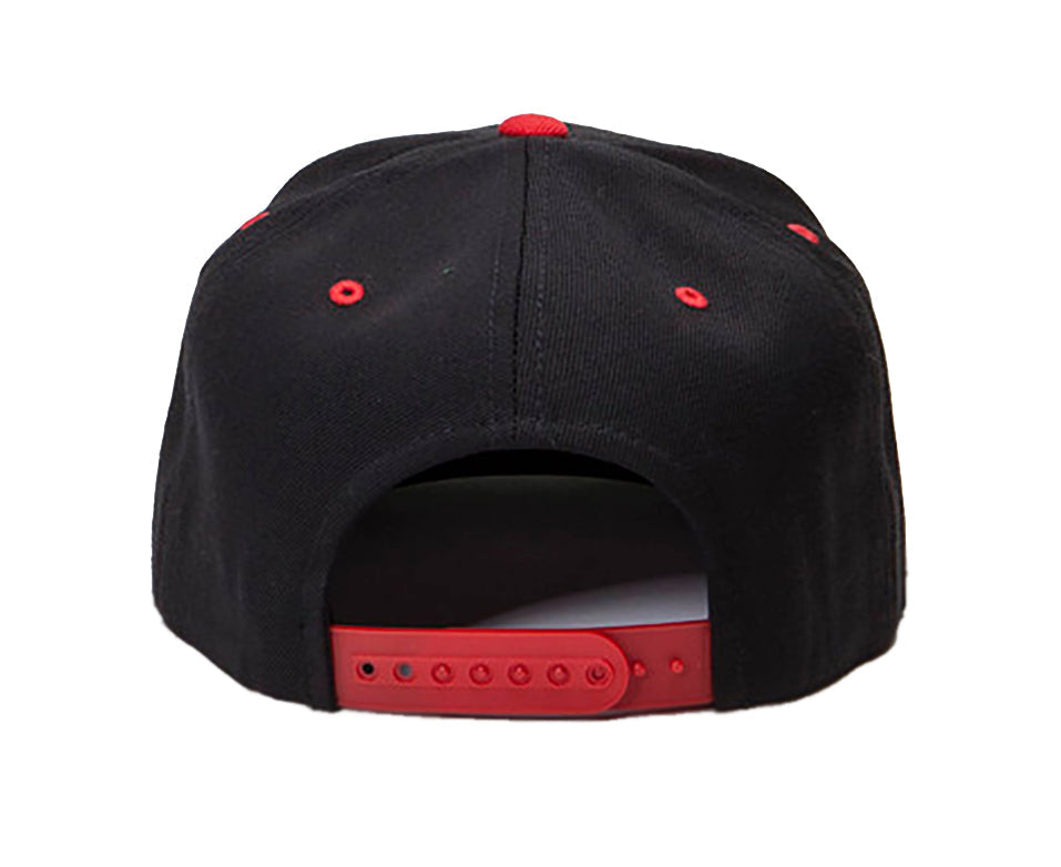 Gorra Leones Del Escogido Snapback