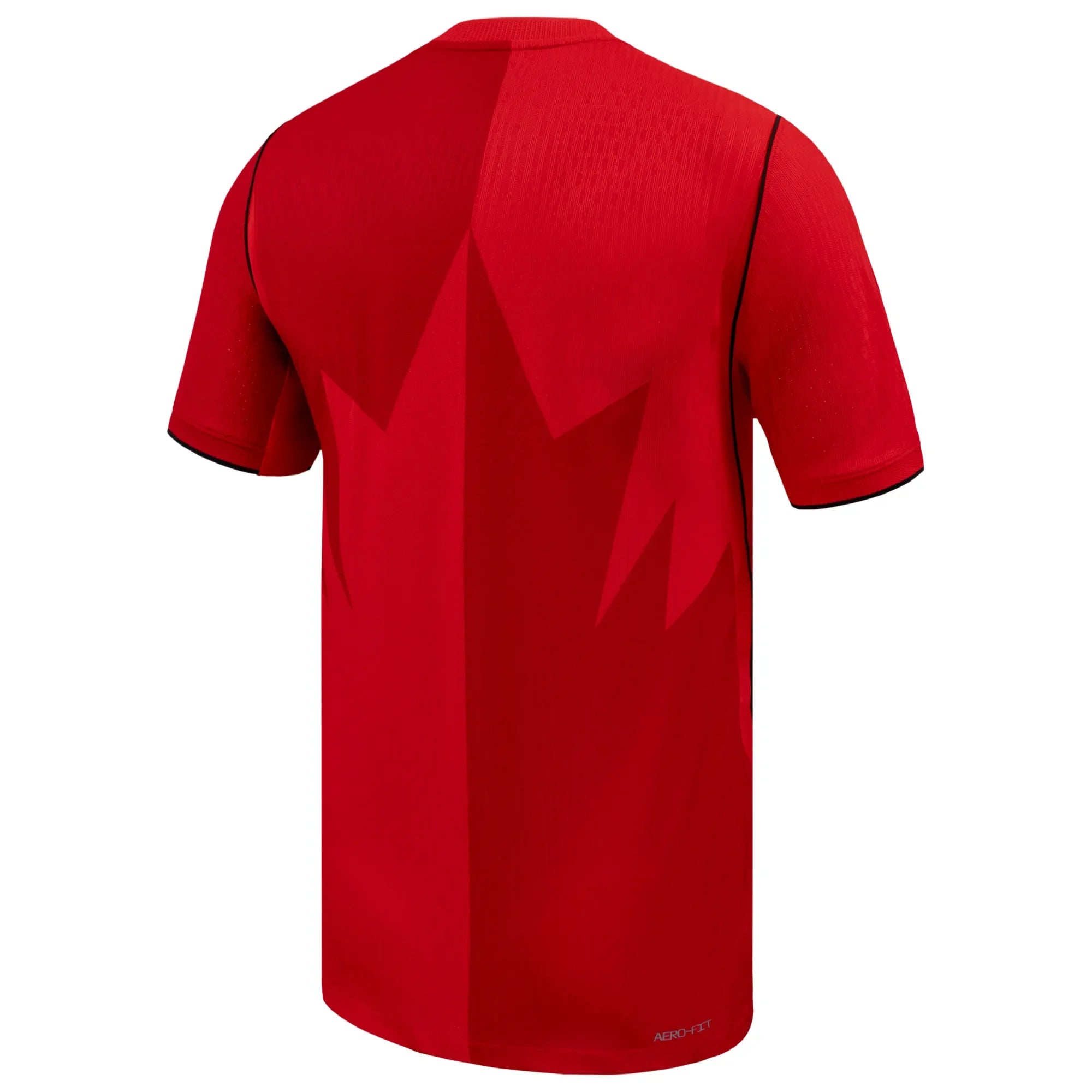 Nike 2026 Canada Men's Authentic Home Soccer Jersey