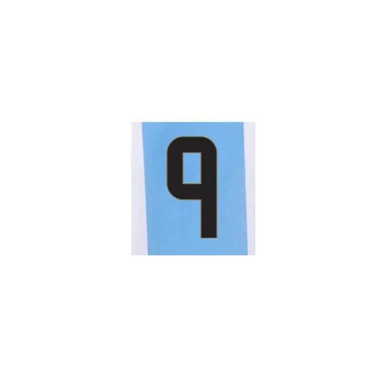 Argentina 2024/25 Home J. Alvarez #9 Jersey Name Set