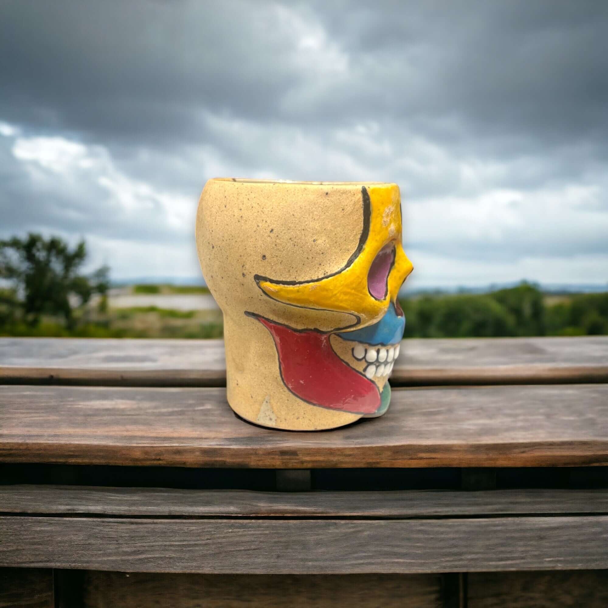 Maceta de calavera artesanal mexicana | Maceta pequeña única para decoración del hogar