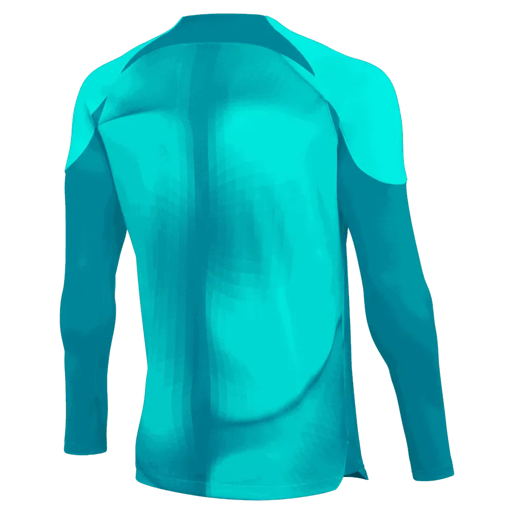 Nike Gardien IV LS Goalkeeper Jersey