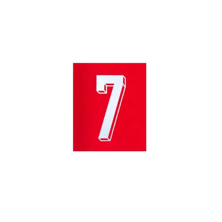 Portugal 2024/25 Home Ronaldo #7 YOUTH Jersey Name Set