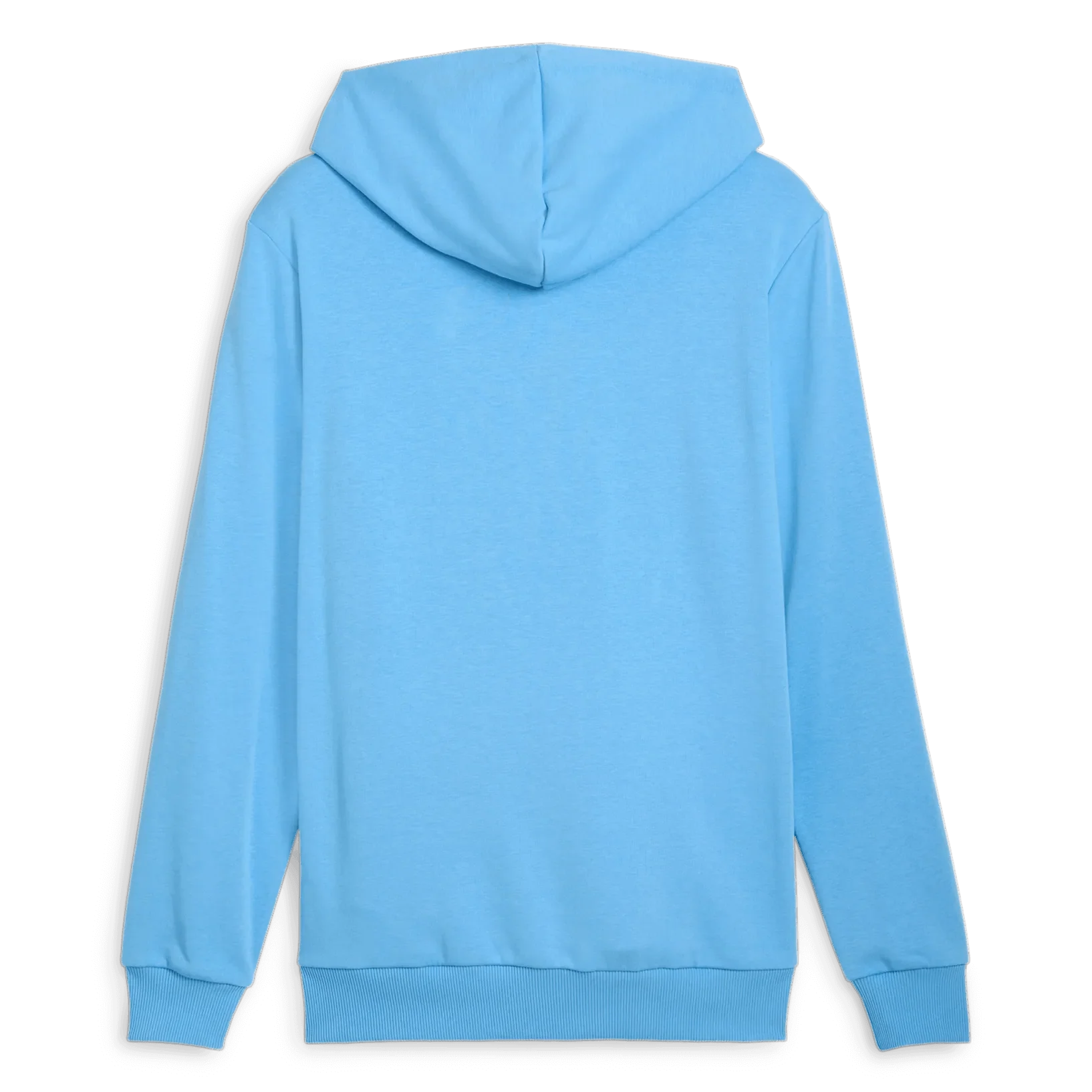 Puma 2024-25 Manchester City Men's FTBLCulture Hoodie