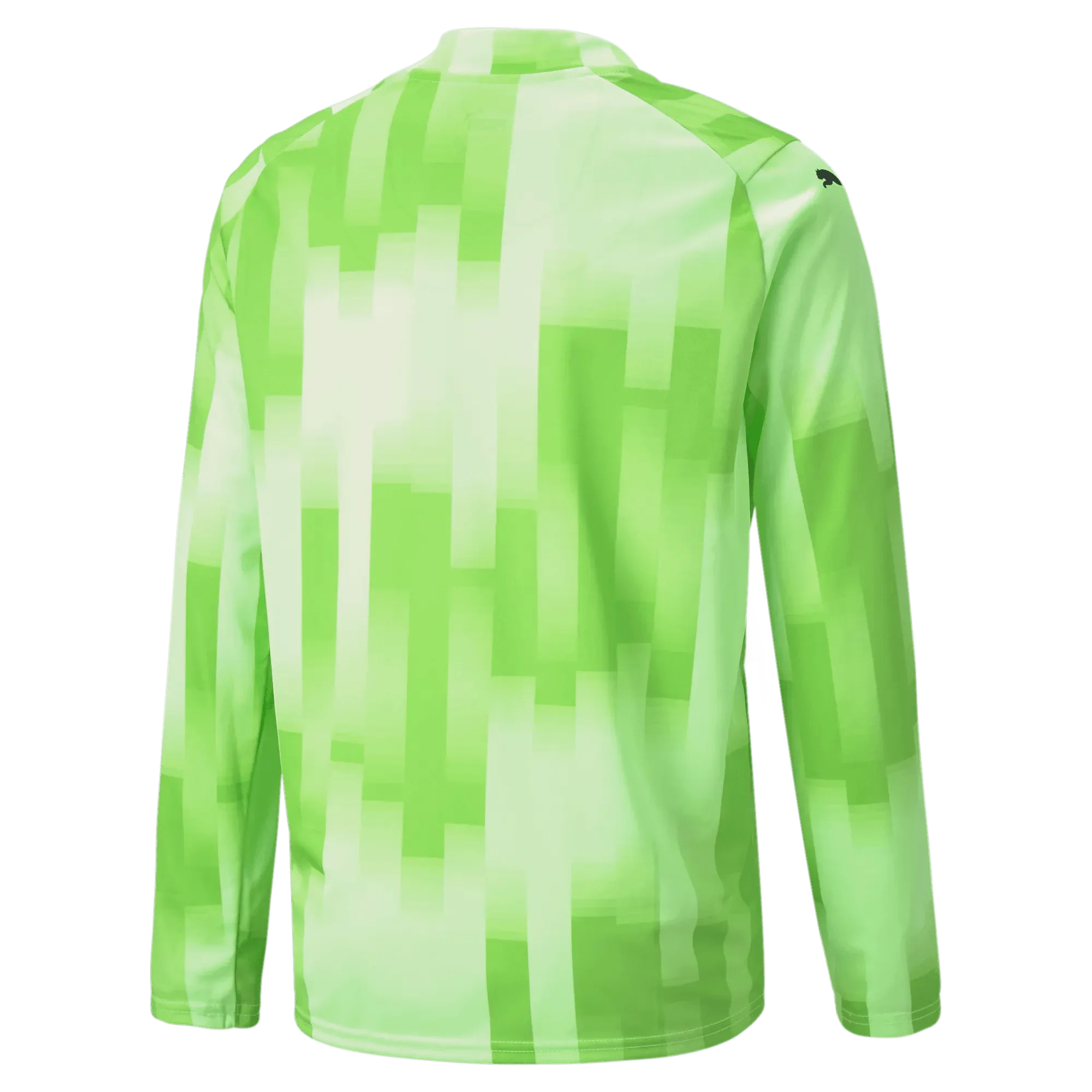 Puma Teamtarget Goalkeeper Longsleeve Youth Jersey