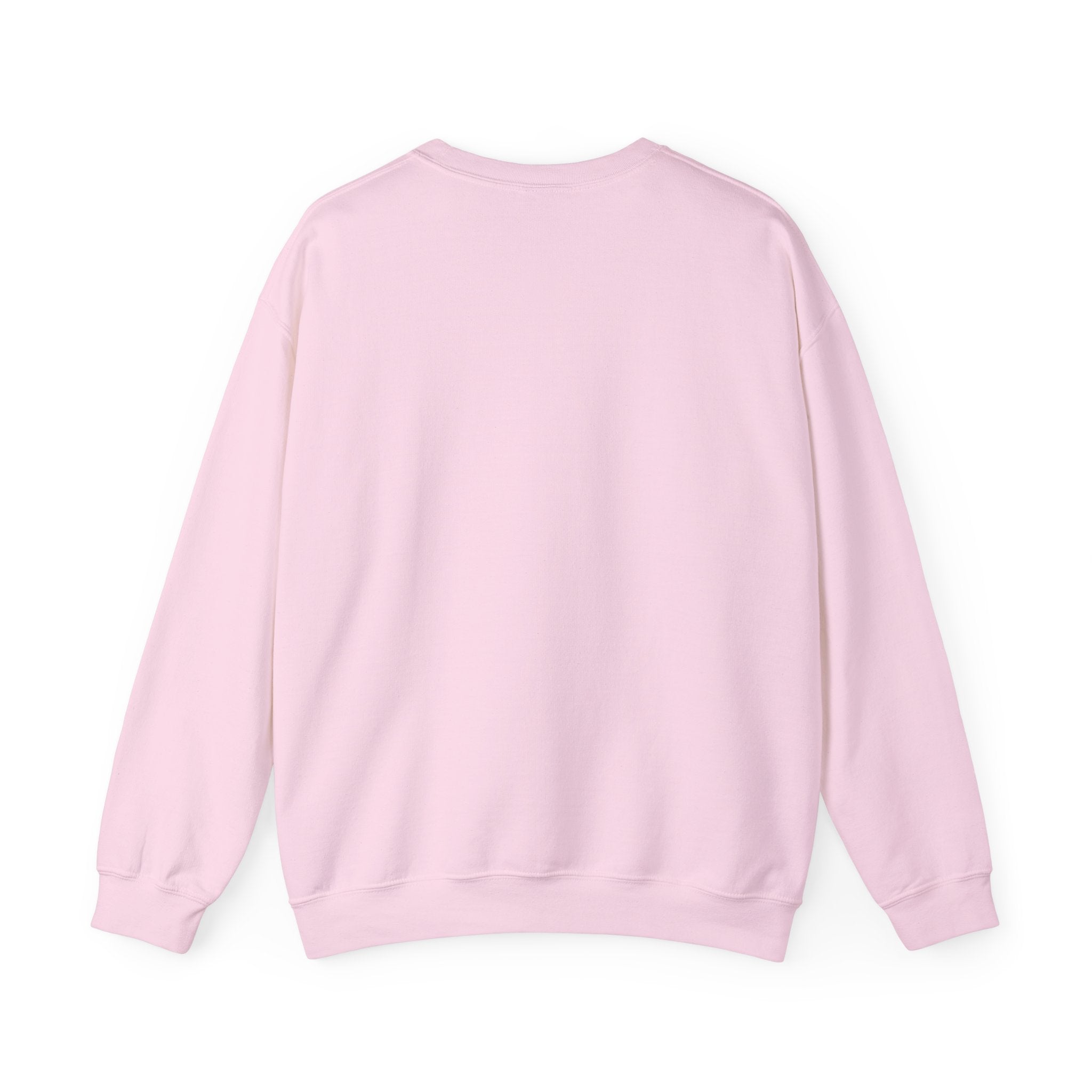 Benito Exclusive | Trap Bunny Heavyweight Crewneck Sweater | 4 Colors