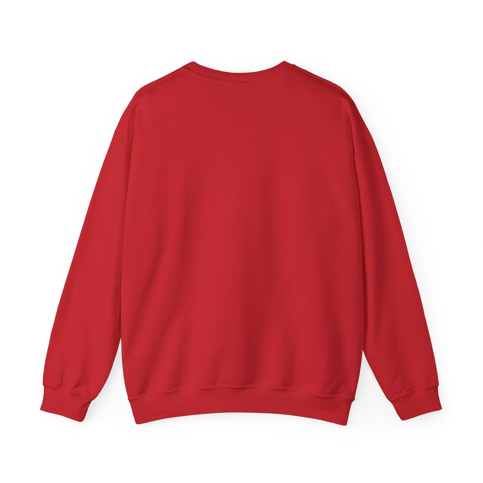 Benito Exclusive | Trap Bunny Heavyweight Crewneck Sweater | 4 Colors