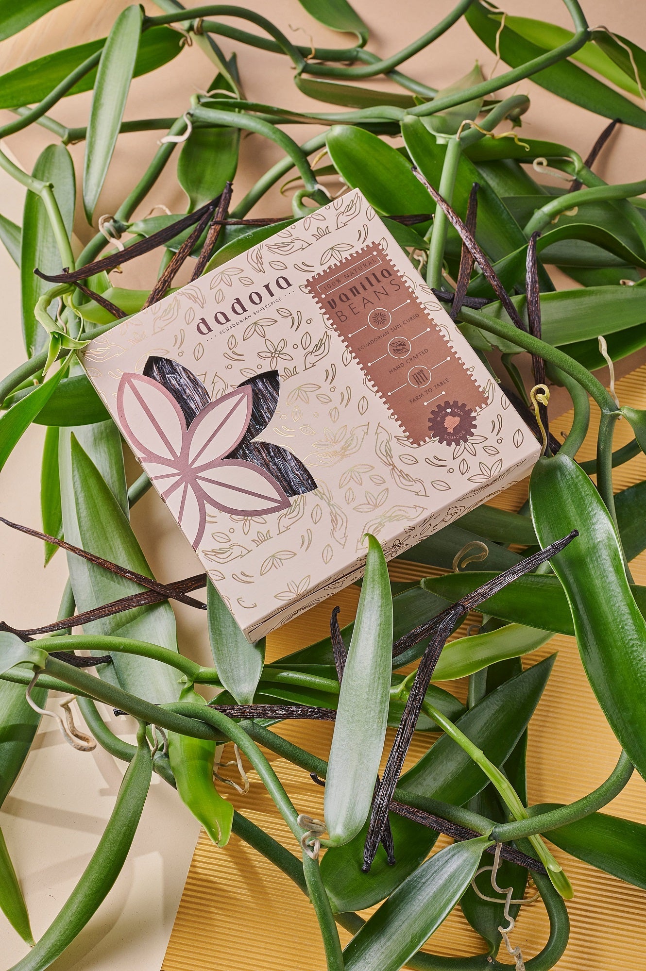 Grade B Tahitian Vanilla Beans – Ecuadorian Grown