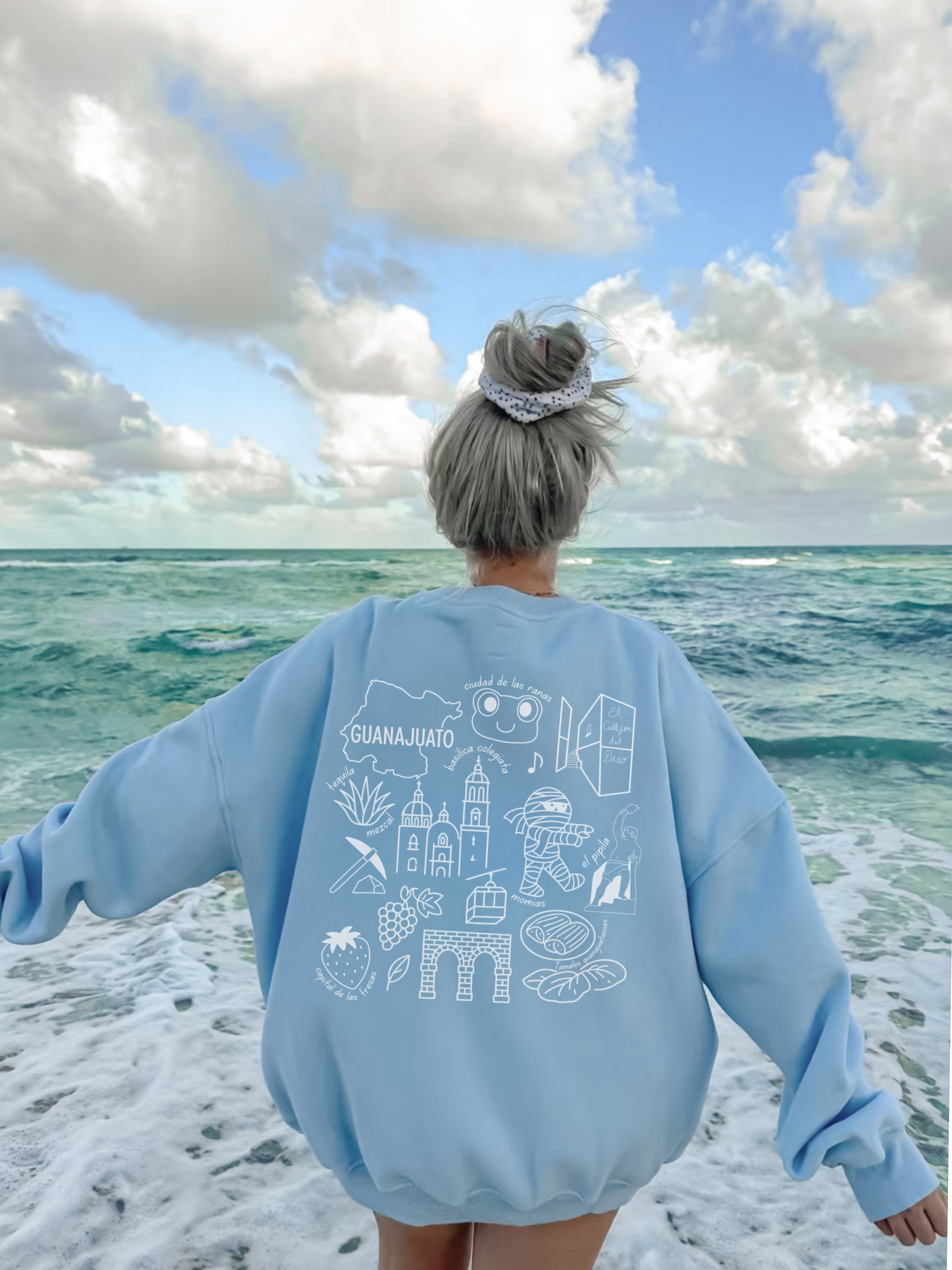 México State Sweater w/ Embroidery