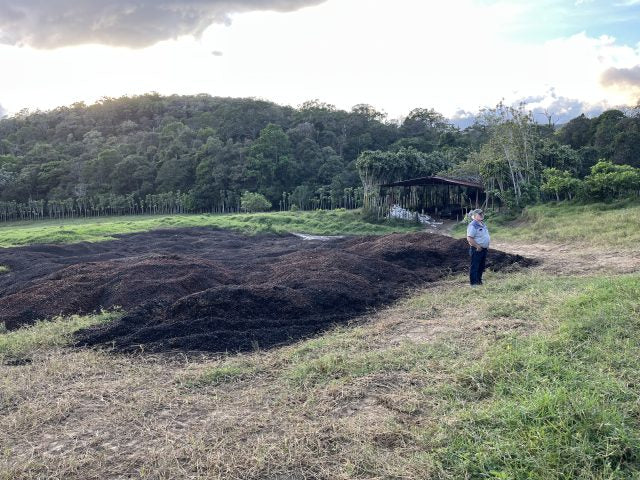 Café Rica's Hacienda - Tostado de la Casa - Origen Único y Certificado Orgánico Lavado de Costa Rica