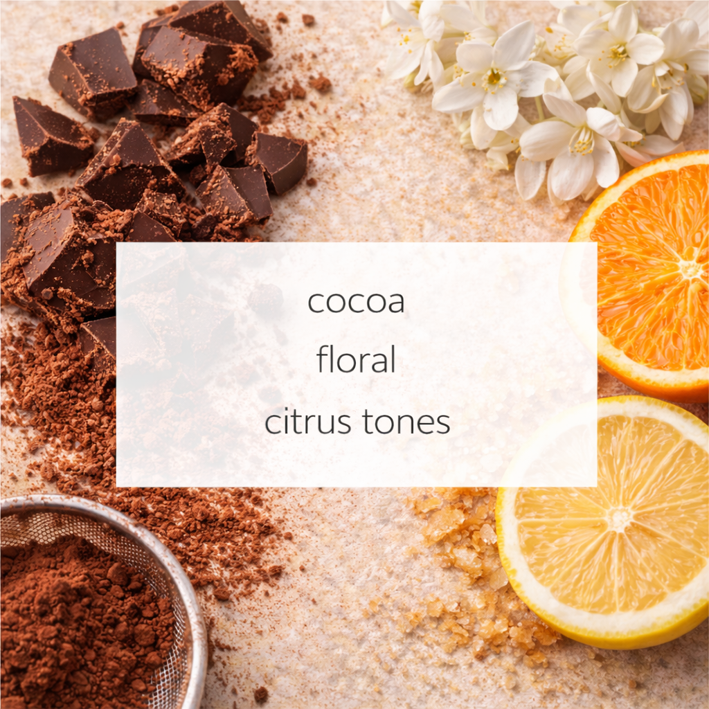 Nicaragua - Cocoa & Citrusy