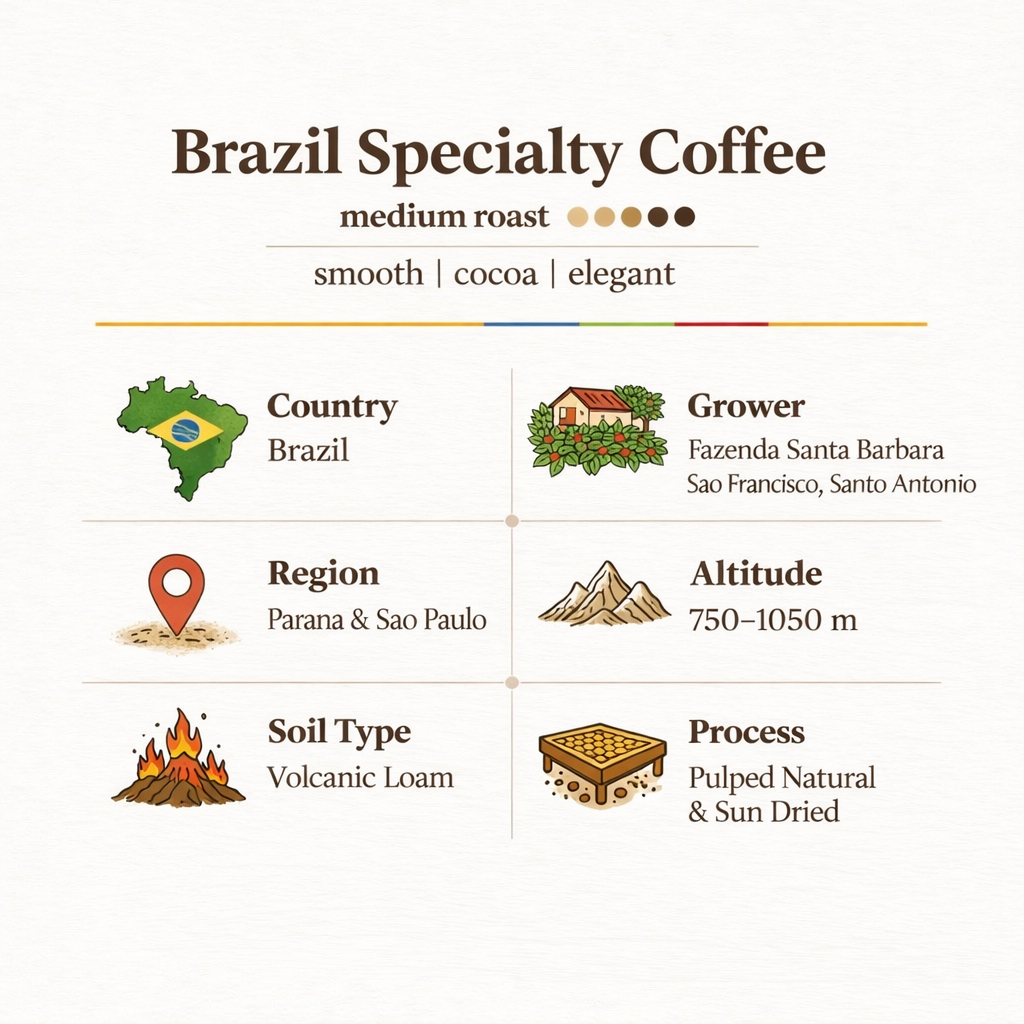 Brazil - Smooth Cocoa