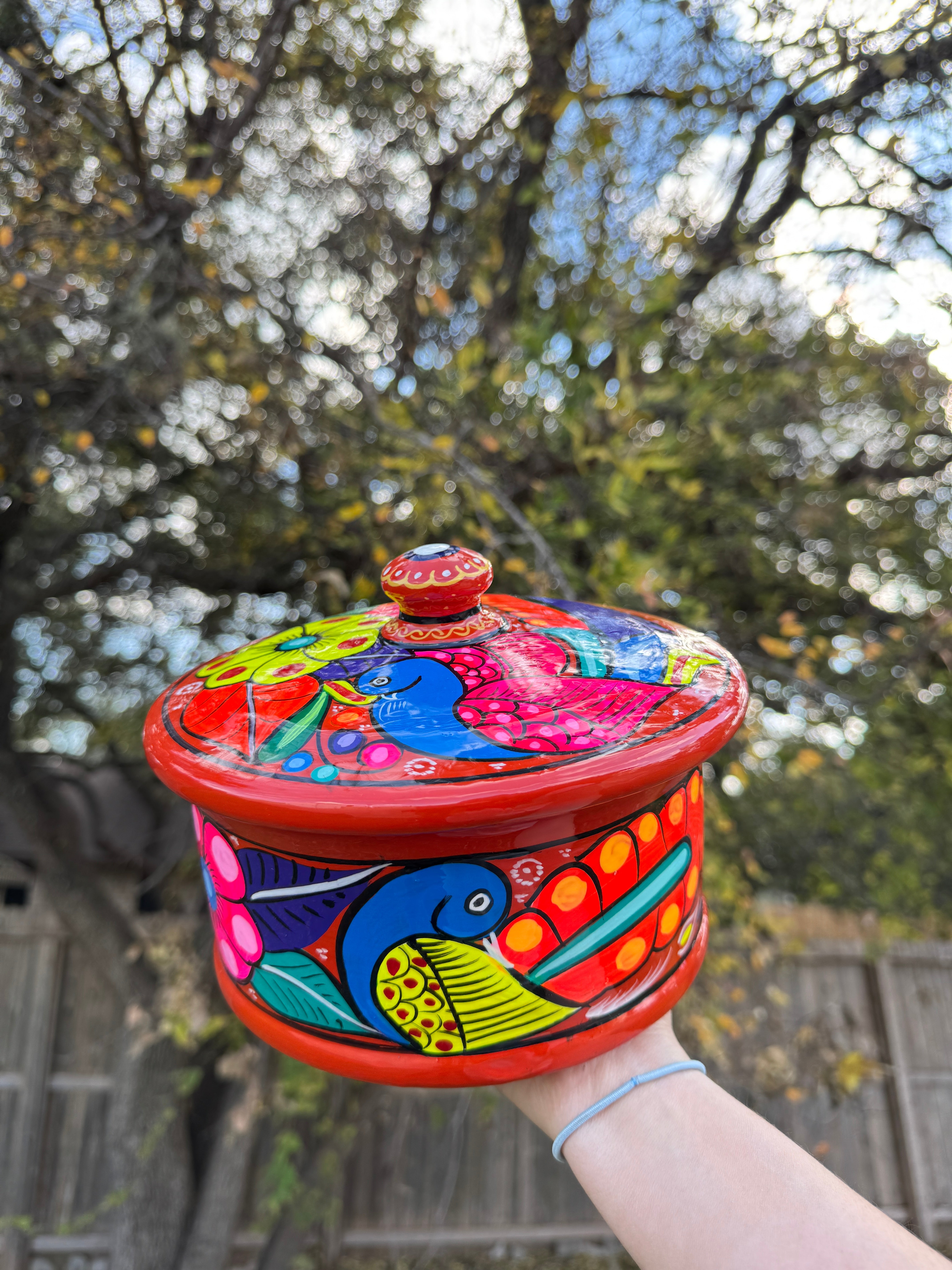Mexican Tortilla Holder hand painted tortillero