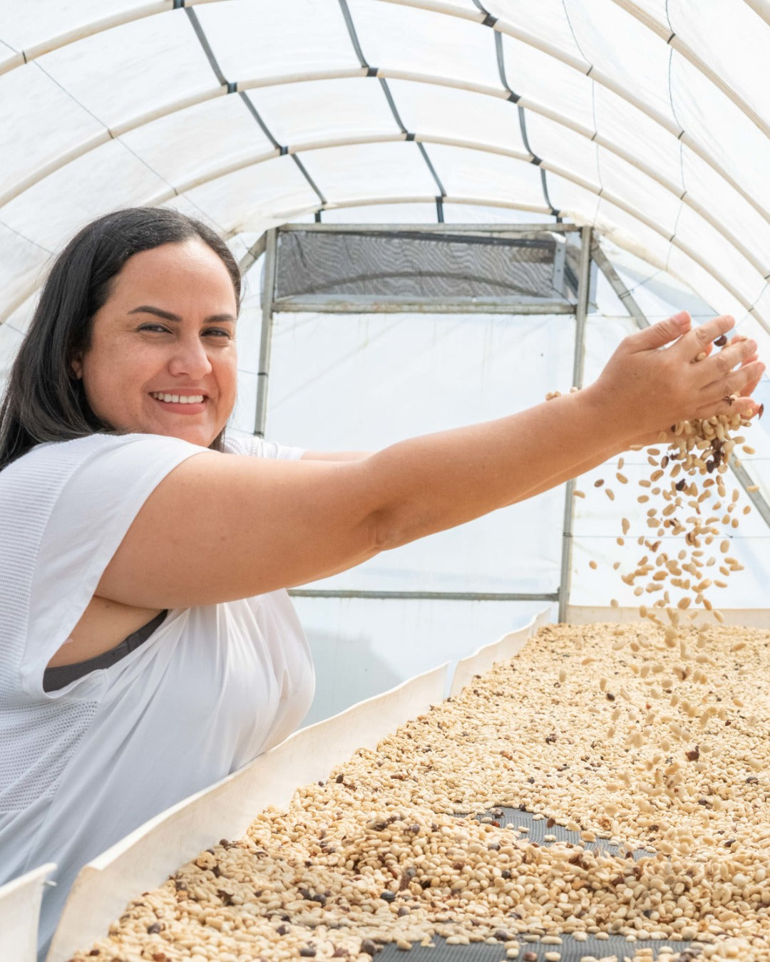 Honduran Parainema Coffee -  6-pack - 4.5lb