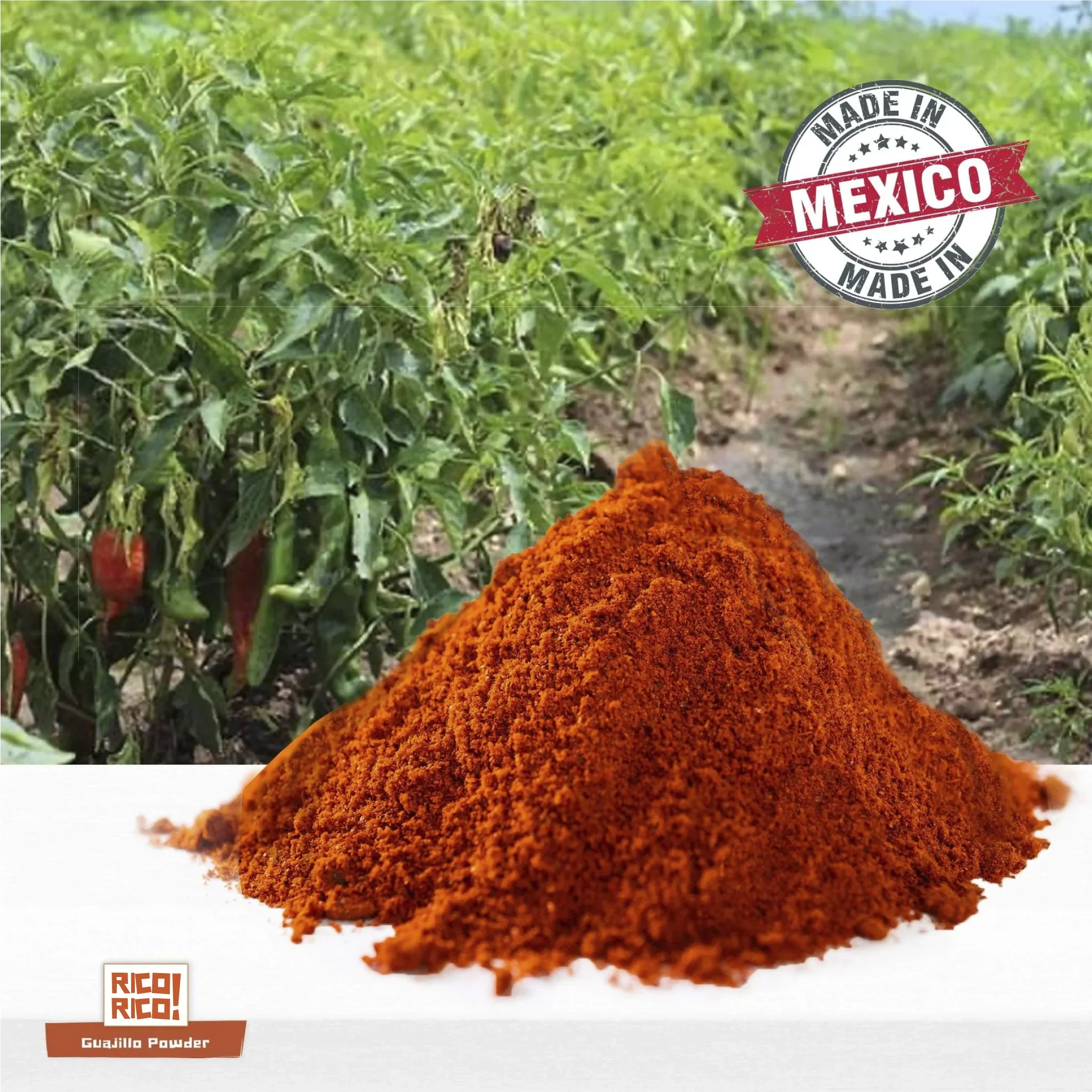 Pimentero de chile guajillo