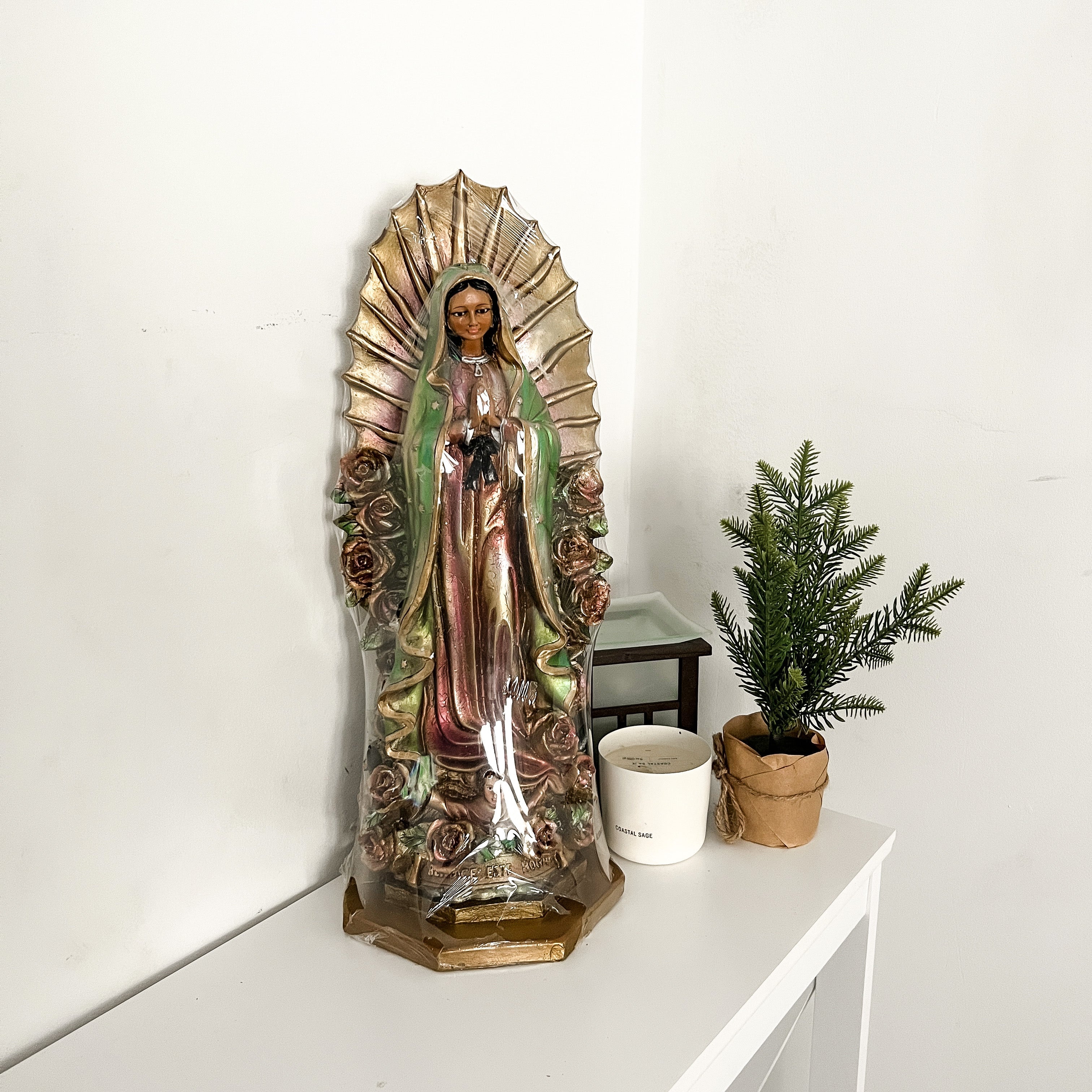 Virgencita #3